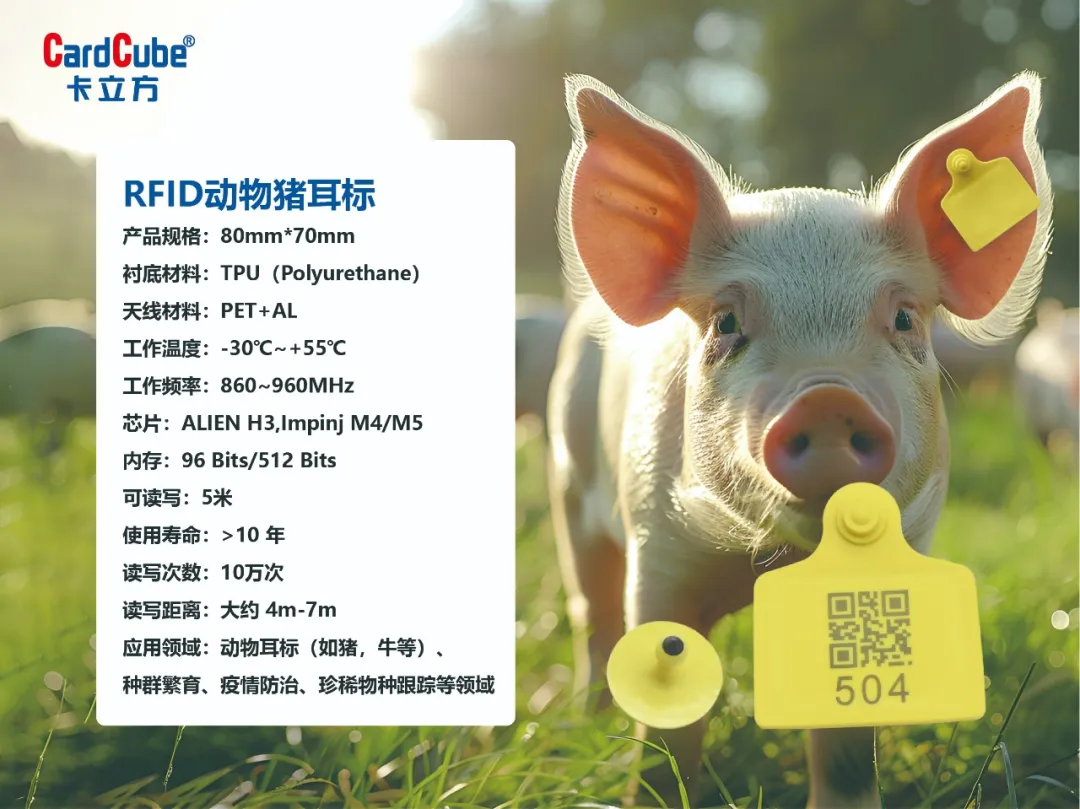 f3f92c17-b212-4fdd-8c56-c59b041d5ae6